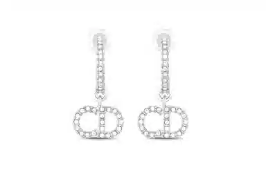 Dior Earrings Silver