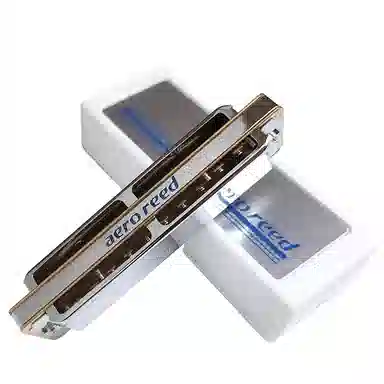 TOMBO () Areo Reed 2010 10Blues