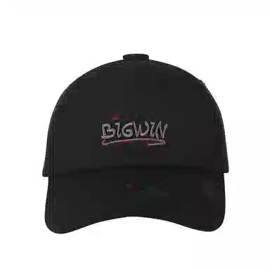 SWOFCARE BIGWIN