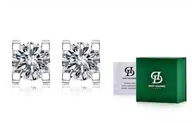 DaisyFellowes S925 AY