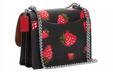 COACH Klare 18 Strawberry Print