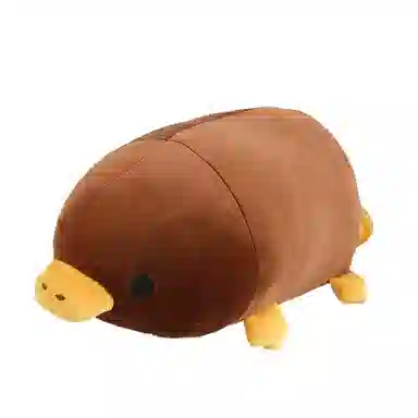 45cm55cm