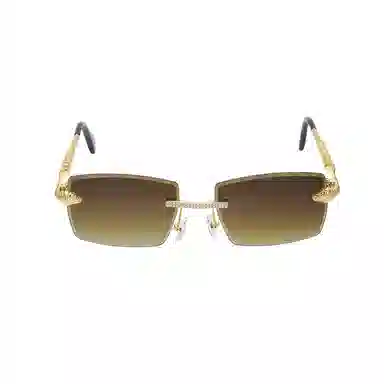 iCEGIANT Snake Square Sunglasses