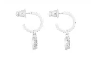 Dior Earrings Silver