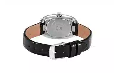 LONGINES 24.9*38.6mm L2.307.4.83.0