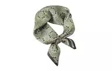 纳兰杜 薄款优雅气质百搭款时尚通勤高级感配饰法式精致穿搭 桑蚕丝 丝巾 女款 绿色