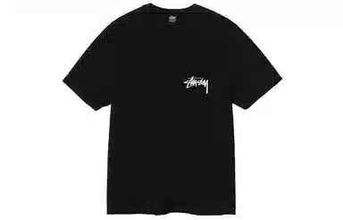 Stussy Painter Dyed Tee T