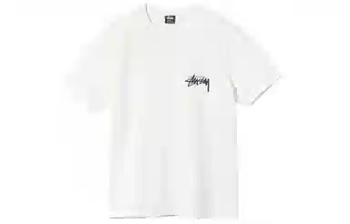 Stussy Painter Dyed Tee T