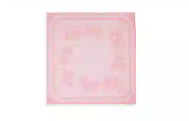 COACH Silk Scarf Pink