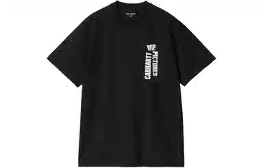 Carhartt WIP SS24 SS Wip Pictures T-Shirt T
