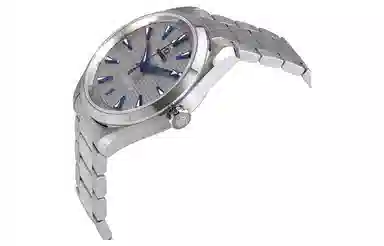 Omega Aqua Terra 220.10.41.21.06.001
