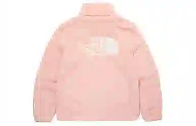 THE NORTH FACE Compy Logo