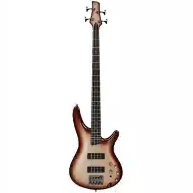 Ibanez SRBass SR300E(4SR305E(5)