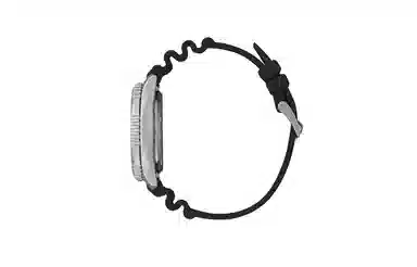 Citizen Promaster NY0118-11A