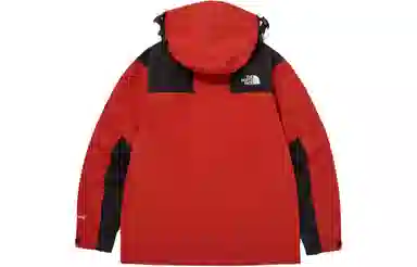 The North Face 1990 GTX L3 Jacket
