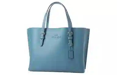 COACH Mollie 25 Logo Tote 25