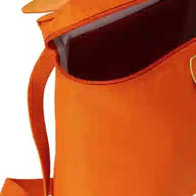 LONGCHAMP Le Pliage Green 26 Orange