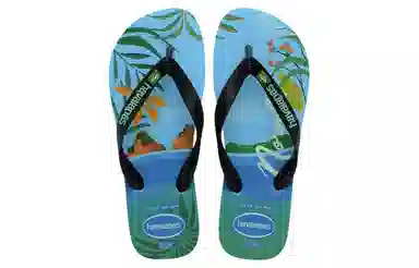 Havaianas Top Postcard