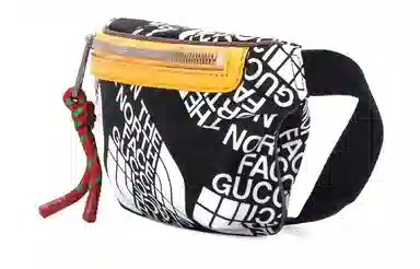 Gucci x The North Face Logo Print Nylon Leather Waist Bag Black Yellow