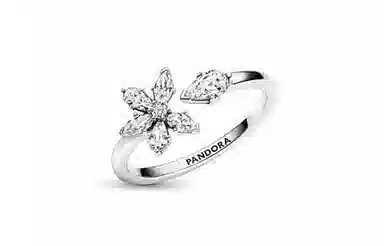 Pandora True Timeless Snowflake Ring