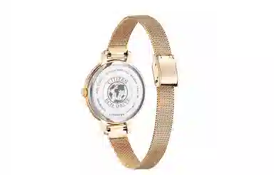 CITIZEN EW2447-89A