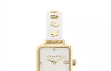 COACH CASS C 14504308