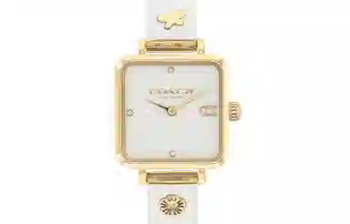 COACH CASS C 14504308