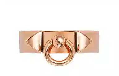 HERMES Collier de Chien CDC