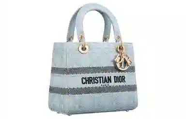 DIOR Lady D-Lite