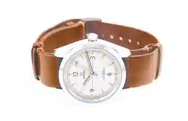 OMEGA Seamaster 220.12.40.20.06.001