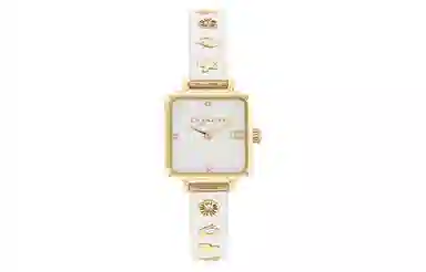 COACH CASS C 14504308