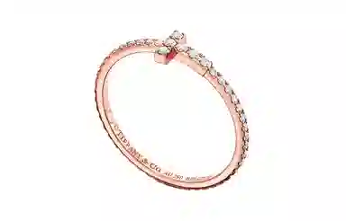 TIFFANY CO. Tiffany T 18K
