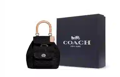 COACH Riya 23