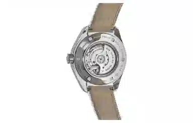 OMEGA 34mm 231.13.34.20.55.001