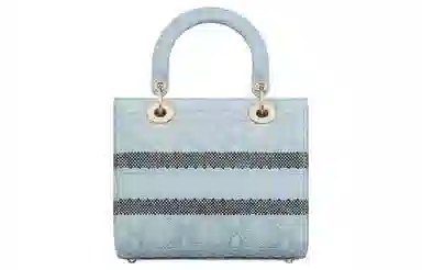 DIOR Lady D-Lite