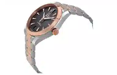 OMEGA Seamaster 220.20.41.21.06.001