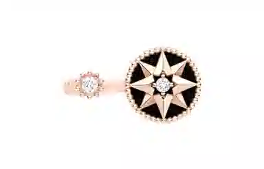 DIOR ROSE DES VENTS 18K