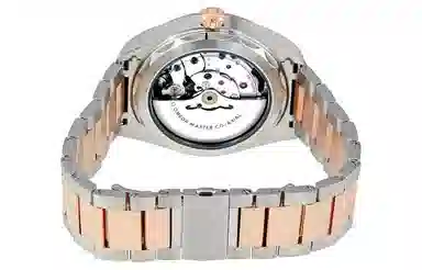 OMEGA Seamaster 220.20.41.21.06.001