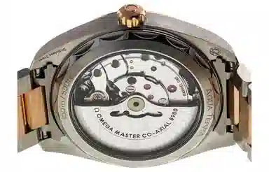 OMEGA Seamaster 220.20.41.21.06.001