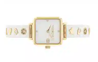 COACH CASS C 14504308