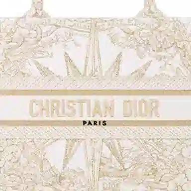 DIOR BookTote Tote