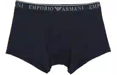 EMPORIO ARMANI Logo 2