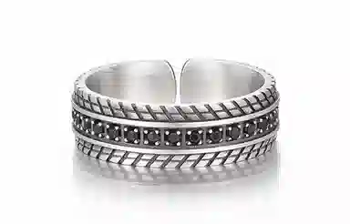 IDEAGEMER 925 Silver Wheel Ring