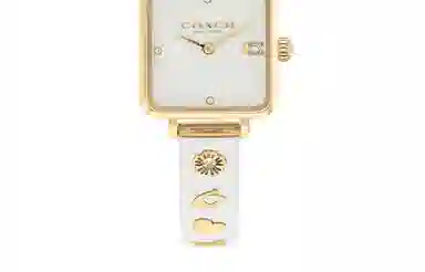 COACH CASS C 14504308