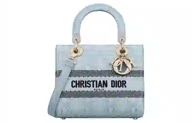 DIOR Lady D-Lite