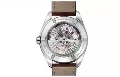 OMEGA Seamaster 231.12.42.21.01.001