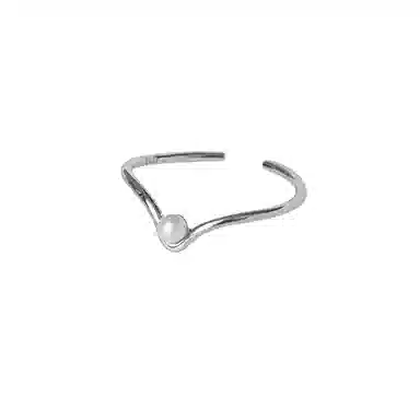 BLESSED BULLET s925v