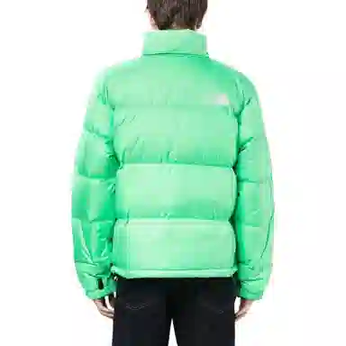 The North Face 1996 Series 700 Down Jacket Green