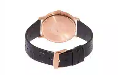 Emporio Armani AR80015