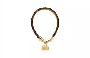 LOUIS VUITTON LV Monogram